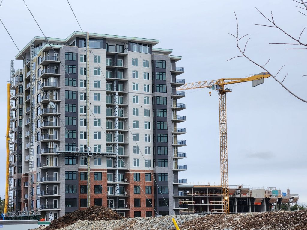 The Rooks of West&nbsp;Bedford