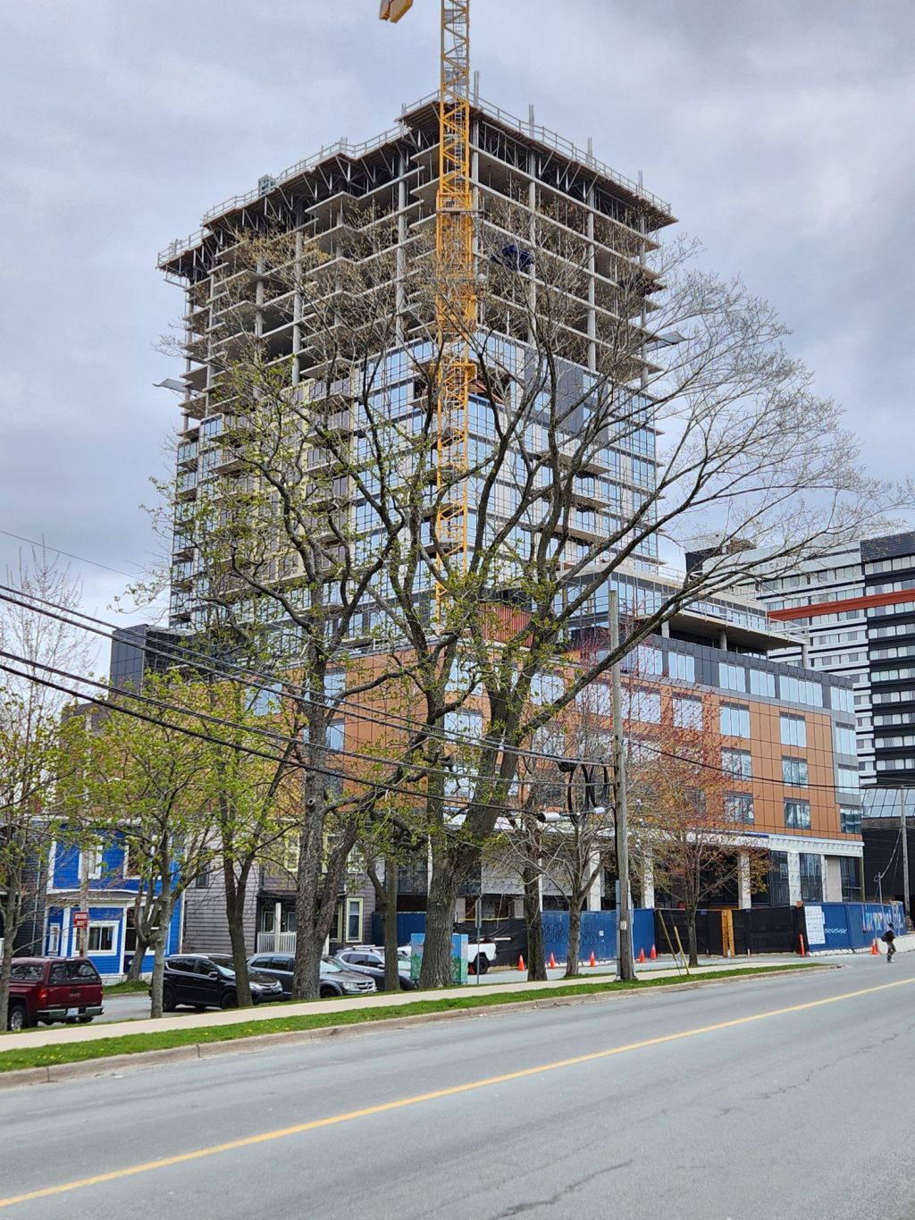 Parkland at the&nbsp;Commons